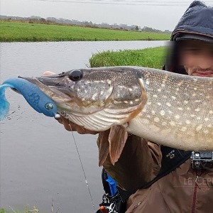 Sorties pêche